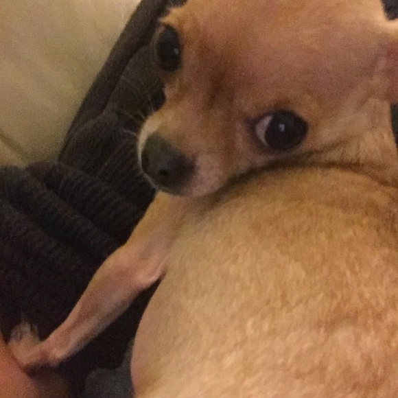 Sale 20% Off Everything Today - Picture 5 of 8